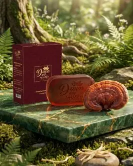 Home ganoderma extract soap